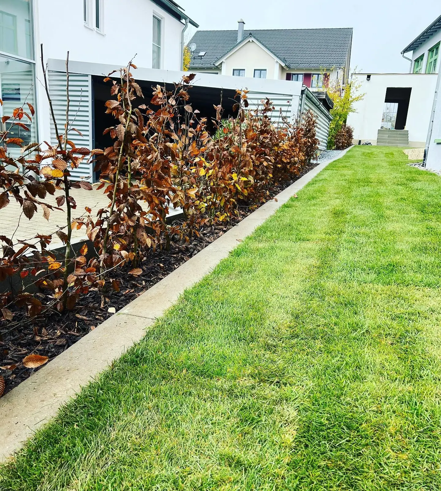 Grundschule Pondorf: Rasen und Hecke